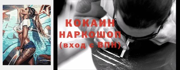 гашик Апатиты