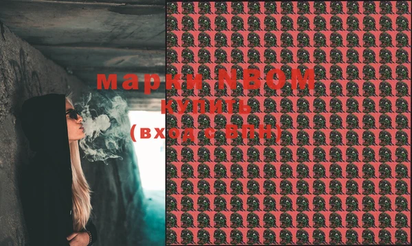гашик Заречный