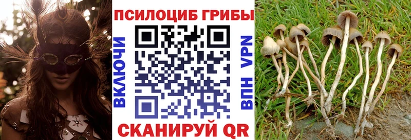 Галлюциногенные грибы прущие грибы KRAKEN рабочий сайт Кедровый
